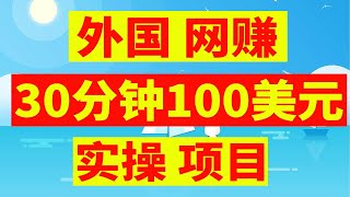 海外网赚美金 30分钟100美元 学员实操项目 兼职网上赚美元