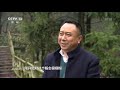 矿山变花海，林长制助力林长治！ cctv「焦点访谈」20210402