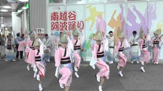 ＰＯ連   プレ阿波踊り2015