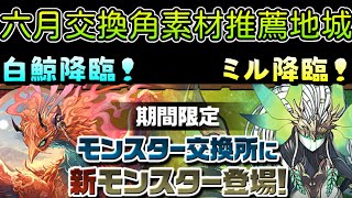 【パズドラ】六月限定交換角素材推薦地城：白鯨\u0026咪嚕降臨射擊隊。【PAD/龍族拼圖】