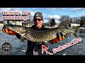 jigging the saginaw river for big walleye