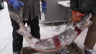 Thousands gather for Wisconsin’s Sturgeon Spearing Season