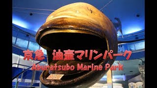 【伝説の水族館 京急油壺マリンパーク 】  最後まで全力の イルカショー　【劇団油壺】 ハラハラドキドキのアシカさんも登場 （😅初めての動画製作）