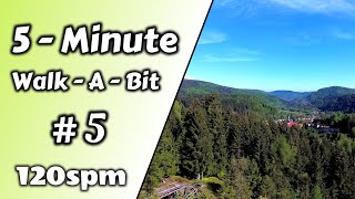 5-Minute-Walk-A-Bit - #5 - Early Bird - Virtual Hike Tidbit