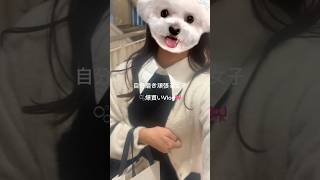 自分磨き頑張る女子の爆買いVlog｜社会人女子の休日代🫧　#新社会人 #日常vlog #春服 #美容　#爆買い