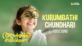 Kurumbathi Chundari Nee Video Song | Ann Maria Kalippilaanu | Vineeth Sreenivasan | Sunny Wayne