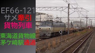 【サメ】EF66-121牽引貨物列車 東海道貨物線茅ケ崎駅通過