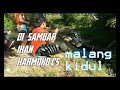 MANCING EDISI IKAN  HARMOKO CS