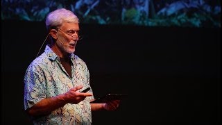 How we can stop the flow of plastic pollution into our oceans? | Tim Niemier | TEDxMeritAcademy