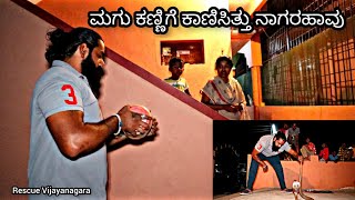 Near Vijayanagara Church Inside Govind Raj's house compound. The spectacle cobra was rescued