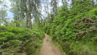 Toller Trail Run durch die atemberaubende Landschaft des Nationalparks Sumava und des Mühlviertels