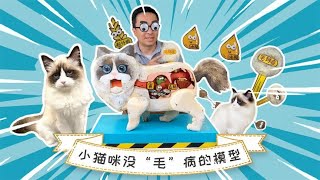 小猫咪爱舔毛，舔进去的毛都去哪了？ 猫毛排不出去又该怎么办？