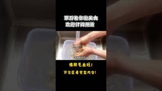 猪肺用来喂狗？太浪费了，猪肺毛血旺真香！1【覃厨说美食】