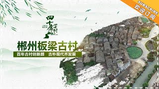 《三湘巨变微纪录·四十年四十村》第7期：“老树开新花”的板梁古村 【芒果TV精选频道】