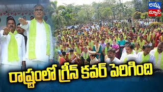 రాష్ట్రంలో గ్రీన్ కవర్ పెరిగింది : మంత్రి హరీష్ రావు ..! Minister Harish Rao || amma news