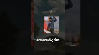 කොහොමද ඒක....😂😅