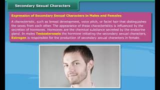 Secondary Sexual Characters Part I