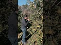 #apple #picking #farm #New_Hampshire