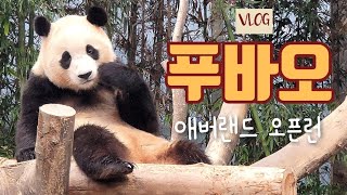 [오픈런 VLOG] 푸바오를 만나고 온 날