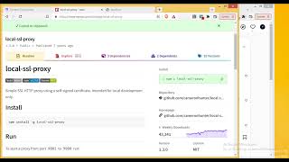 How to run HTTPS in Local Server | Development Server