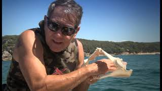 Australian Safari - The Wildlife Man TV Series