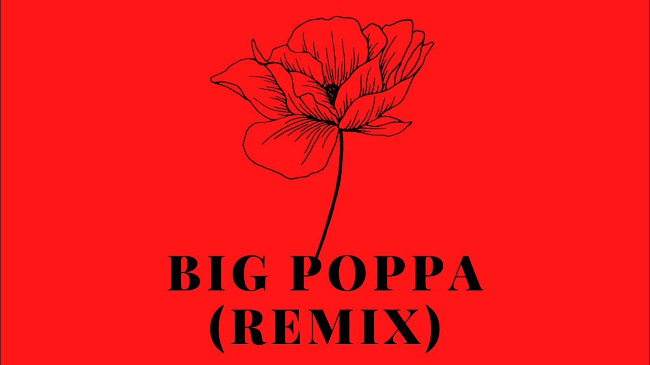 The Notorious B.I.G. - Big Poppa (Remix) | BSIRIS - YouTube