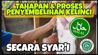 # 15. How do you do the process of slaughtering rabbits in syar'i and halal?