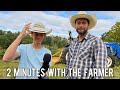 Should You Bush Hog? | 2 Minutes With The Farmer