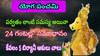 యోగ పంచమి|పర్వతం లాంటి సమస్య అయినా| 24 గంటల్లో సమాధానం|కేవలం 5 బిర్యానీ ఆకులు చాలు