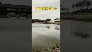 경주  월정교  징검다리에서