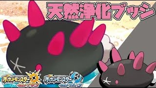 全強化バトンのZ浄化と能力ランク無効の天然ブッシ！ 全てのポケモンに輝きをシリーズ：ナマコブシ編【ポケモンＵＳＵＭ】