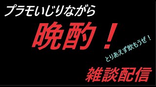 【雑談配信】プラモ触りながら晩酌！ 【プラモデル】【晩酌】