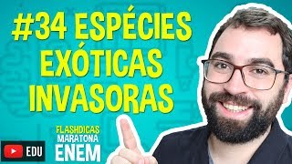 Espécies Exóticas Invasoras - Flashdica #34 - Maratona Enem - Prof. Gui