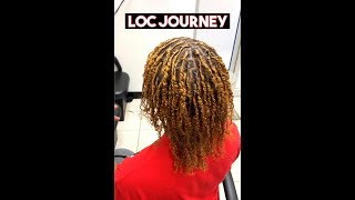 I bleached my hair and I got #starterlocs I am so excited about my #locjourney ￼#curlylocs#locs