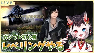 【＃FF14 #初見  】漆黒ﾛｰﾙｸｴ目指してガンブレレベリング❗❗❗🐈【#猫居すず #新人VTuber 】