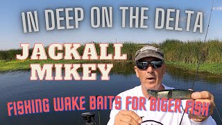 The Jackall Mikey - A big Bait for Big Fish.