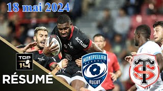 TOP 14 : Résumé partie Montpellier Hérault  vs Stade Toulousain Rugby : J24 - Saison 2023/2024