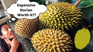 IS EXPENSIVE DURIAN WORTH IT???