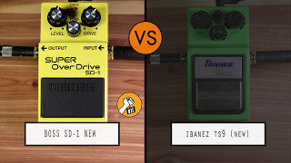 Boss SD-1 Super Overdrive VS Ibanez TS9 Tube Screamer