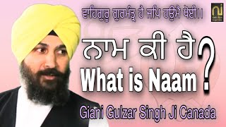 What is Naam? ਨਾਮ ਕੀ ਹੈ? ਗੁਰਮਤਿ ਅਨੁਸਾਰ ਨਾਮ ਦਾ ਮਤਲਬ ਕੀ ਹੈ? ਨਾਮ ਤੋਂ ਕੀ ਭਾਵ ਹੈ? Giani Gulzar Singh ji||