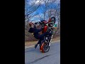 Dyna Stunts *Wheelie* Straightup631