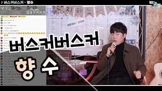 버스커버스커 - 향수 【장범준 반지하 노래방】 비주류 특집!