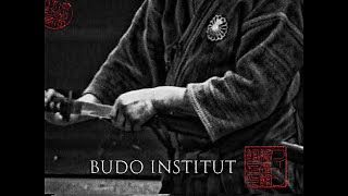 Budo Institut - What it means to cut