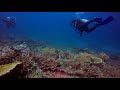 cauldron a.k.a shot gun komodo national park indonesia