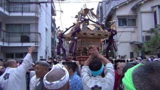 駒込天祖神社例大祭2016 本社神輿渡御03【宮元】