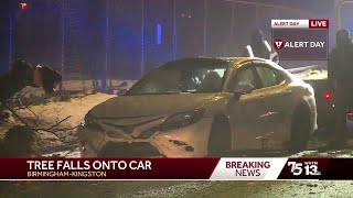 Tree falls on car during snow storm in Alabama