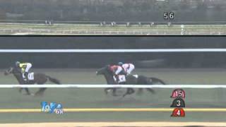 2011/2/5 1回東京3日 サラ系3歳500万円以下  ギュスターヴクライ