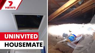 Adelaide grandmother shocked as night noises, missing food turn out to be roof squatter | 7NEWS