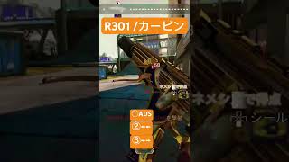 【APEX】R301 カービンの当て方(自己流)