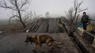 Live: Russian forces leave north as Red Cross attempts Mariupol evacuation